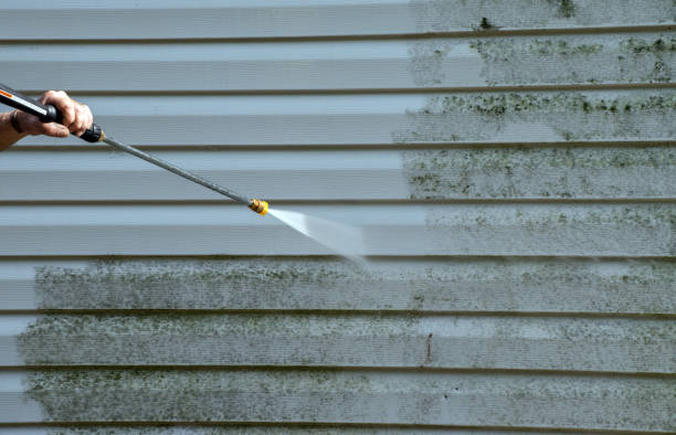 Best Residential Pressure Washing Services  in Springfield, FL