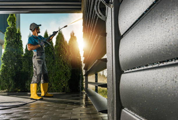 Best Roof Pressure Washing  in Springfield, FL